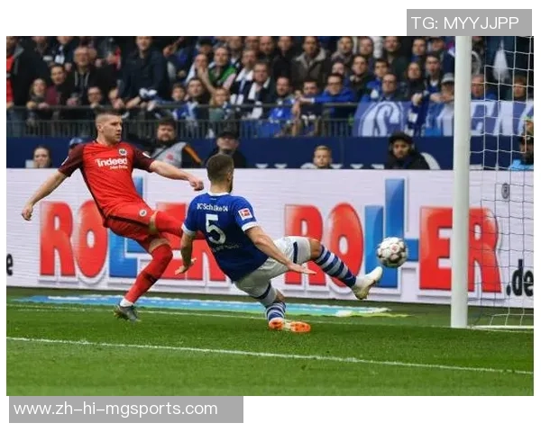 2019年沙尔克04对阵霍芬海姆精彩回顾与赛后分析